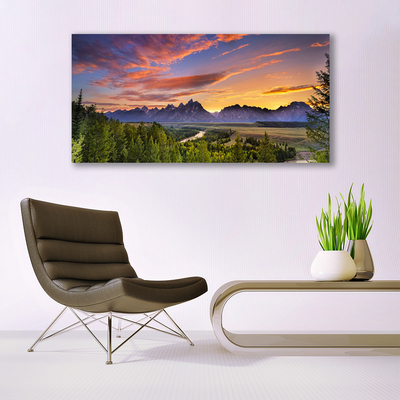 Obraz na plátně Hora Les Slunce Příroda