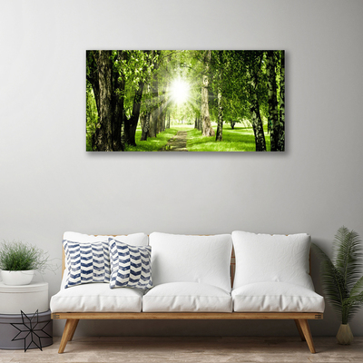 Obraz na plátně Les Slunce Stezka Příroda