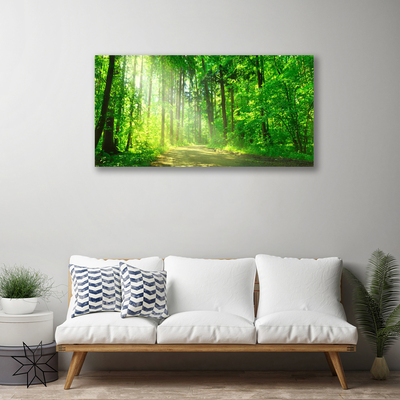Obraz na plátně Les Cestička Stromy Příroda