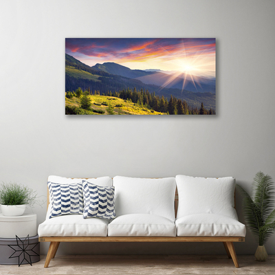 Obraz na plátně Hora Les Slunce Krajina