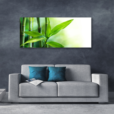 Obraz na plátně Bambus List Rostlina Příroda