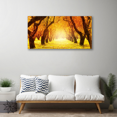 Obraz na plátně Les Stezka Stromy Příroda