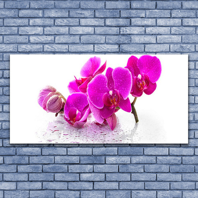 Obraz na plátně Květiny Rostlina Příroda