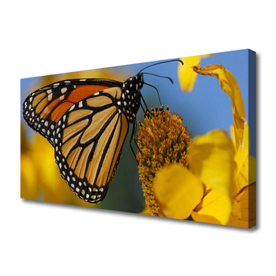 Obraz na plátně Motýl Květ Příroda