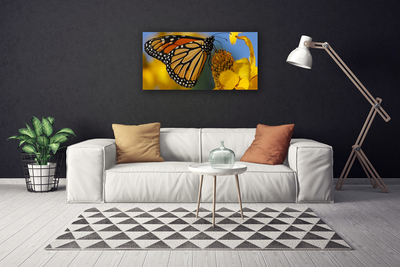 Obraz na plátně Motýl Květ Příroda