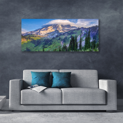 Obraz na plátně Hora Les Krajina