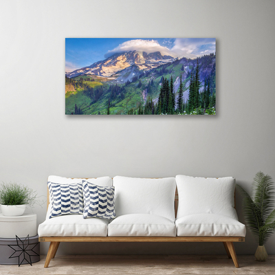 Obraz na plátně Hora Les Krajina