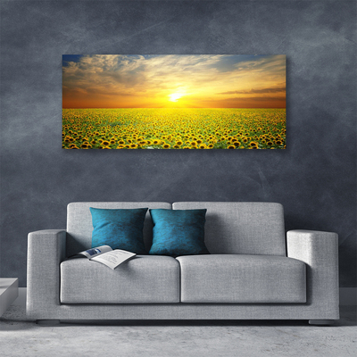 Obraz na plátně Slunce Louka Slunečnice