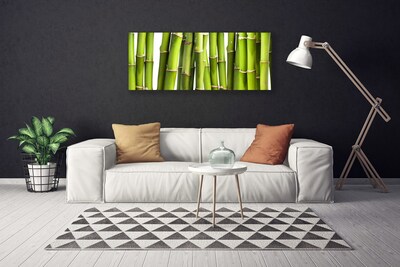 Obraz na plátně Bambus Rostlina Příroda
