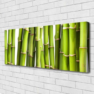Obraz na plátně Bambus Rostlina Příroda
