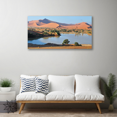 Obraz na plátně Jezero Poušť Krajina
