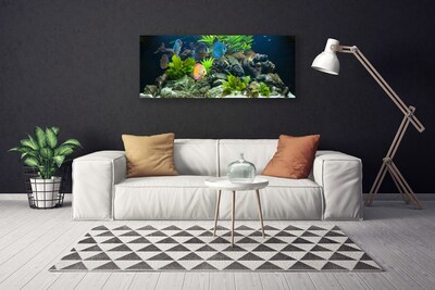 Obraz na plátně Ryba Kameny Listy Příroda