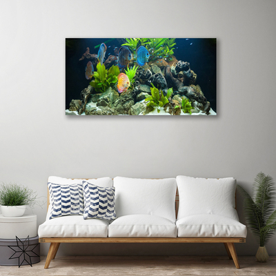 Obraz na plátně Ryba Kameny Listy Příroda