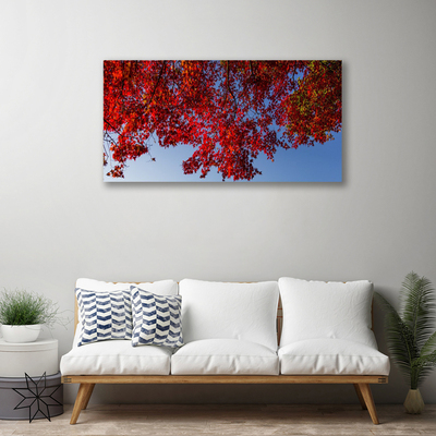 Obraz na plátně Strom Listy Větve Příroda