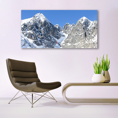 Obraz na plátně Hora Sníh Krajina