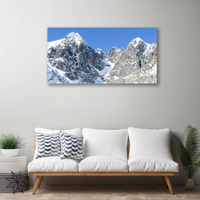 Obraz na plátně Hora Sníh Krajina