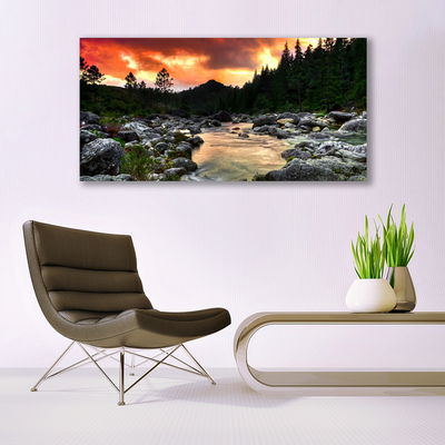 Obraz na plátně Jezero Kameny Les Příroda