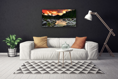 Obraz na plátně Jezero Kameny Les Příroda