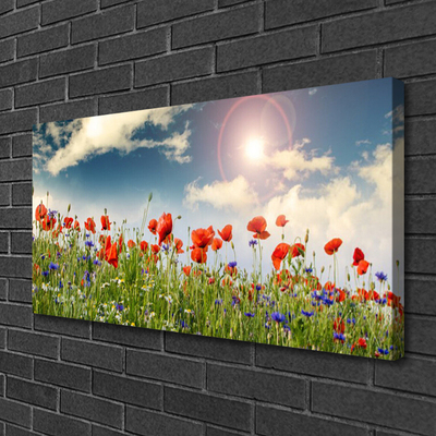 Obraz na plátně Louka Květiny Slunce Příroda