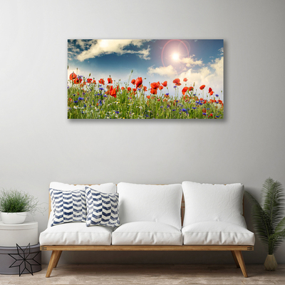 Obraz na plátně Louka Květiny Slunce Příroda