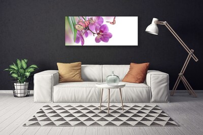 Obraz na plátně Motýli Květiny Příroda