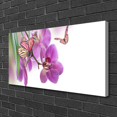 Obraz na plátně Motýli Květiny Příroda