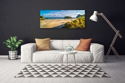 Obraz na plátně Pláž Kameny Krajina