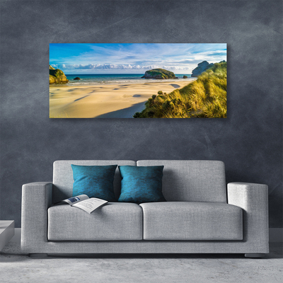 Obraz na plátně Pláž Kameny Krajina