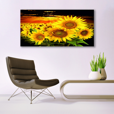 Obraz na plátně Slunečnice Květ Rostlina
