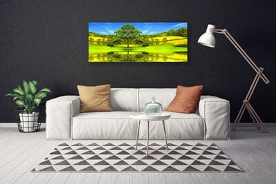 Obraz na plátně Louka Strom Příroda