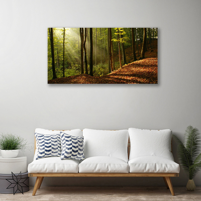 Obraz na plátně Les Stromy Příroda