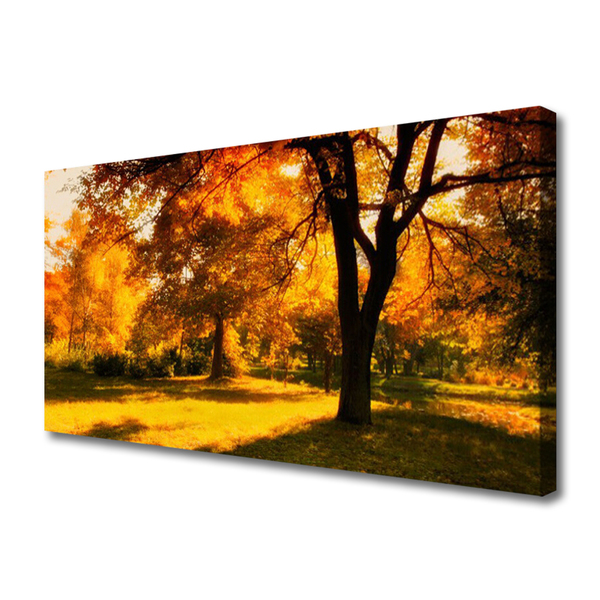 Obraz na plátně Stromy Podzim Příroda