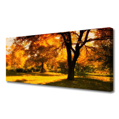 Obraz na plátně Stromy Podzim Příroda