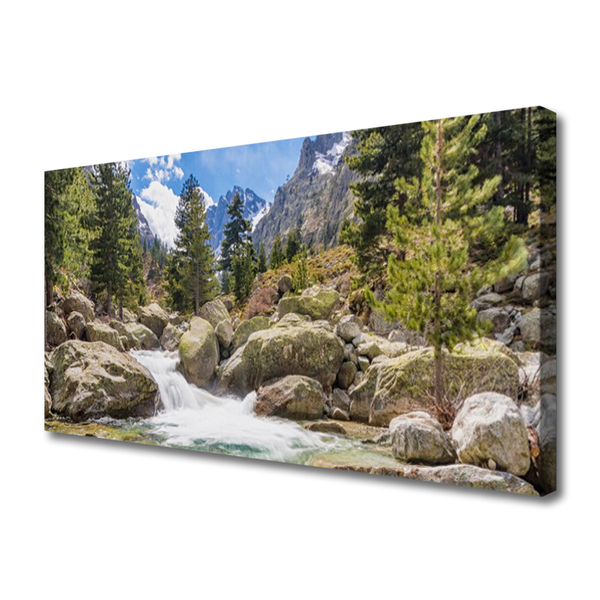Obraz na plátně Hora Les Kameny Řeka