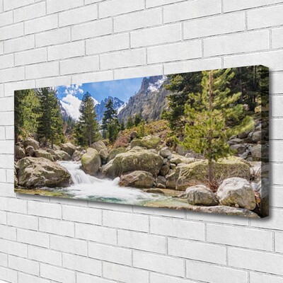 Obraz na plátně Hora Les Kameny Řeka