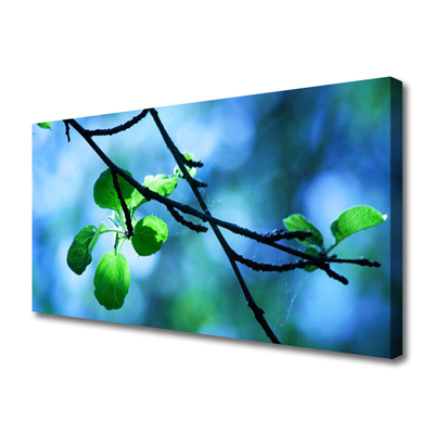 Obraz na plátně Větev Listy Rostlina Příroda