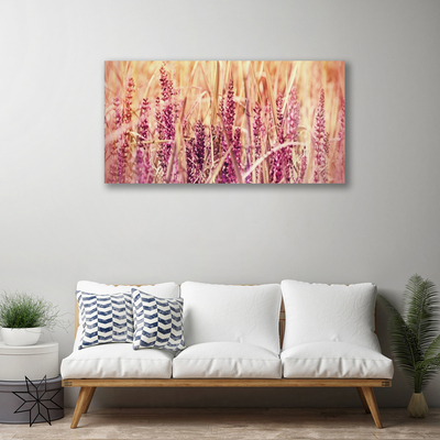Obraz na plátně Pšenice Rostlina Příroda