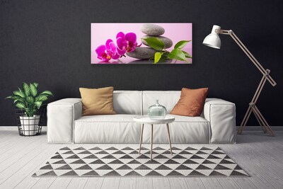Obraz na plátně Květ Kameny Zen Rostlina