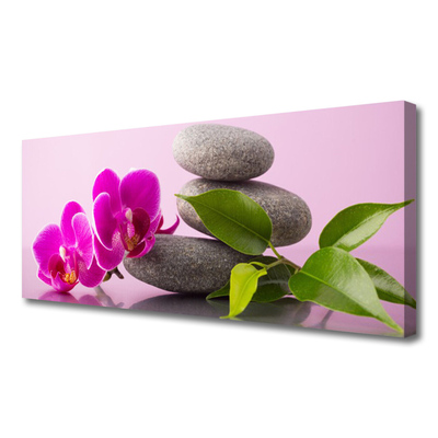 Obraz na plátně Květ Kameny Zen Rostlina