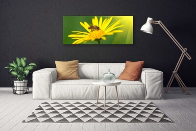 Obraz na plátně Vosa Květ Rostlina Příroda