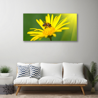 Obraz na plátně Vosa Květ Rostlina Příroda