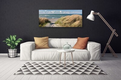 Obraz na plátně Pláž Moře Tráva Krajina