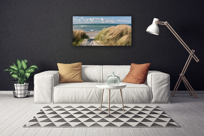 Obraz na plátně Pláž Moře Tráva Krajina