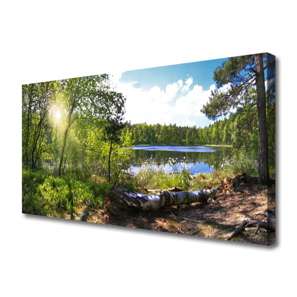 Obraz na plátně Les Stromy Jezero Příroda