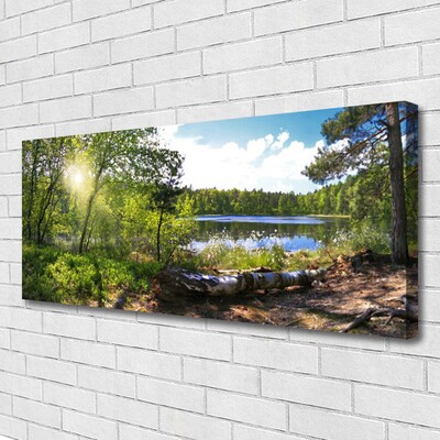 Obraz na plátně Les Stromy Jezero Příroda