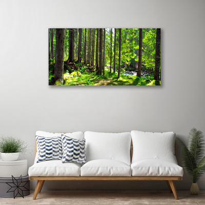 Obraz na plátně Les Stromy Rostlina Příroda