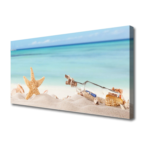 Obraz na plátně Hvězdice Mušle Pláž