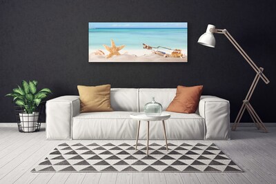 Obraz na plátně Hvězdice Mušle Pláž