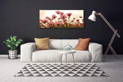 Obraz na plátně Polní Květiny Louka Příroda