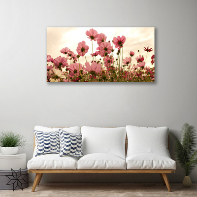 Obraz na plátně Polní Květiny Louka Příroda